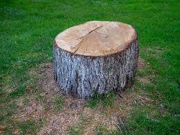 Reliable Stormstown, PA Tree Care Solutions